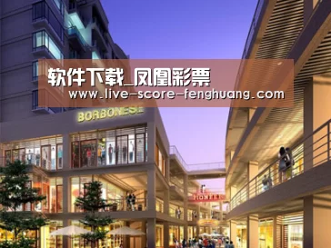 案例展示一(图1)
