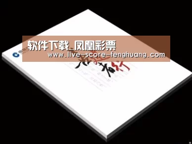 项目名称七