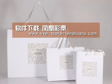 项目名称十一