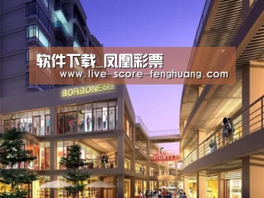 案例展示一