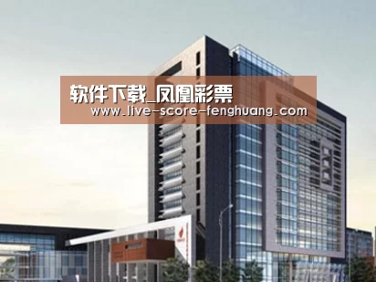 案例展示七